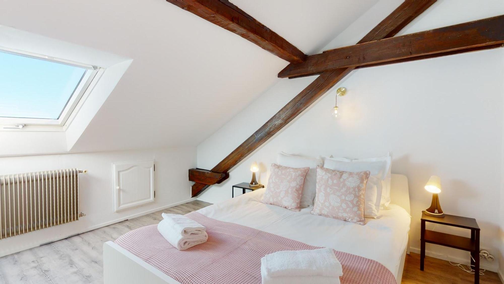 Le Cocon Colmarien - Proche Centre Et Gare - Stationnement Gratuit - 10 Personnes Colmar